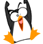 pinguarrabbiato